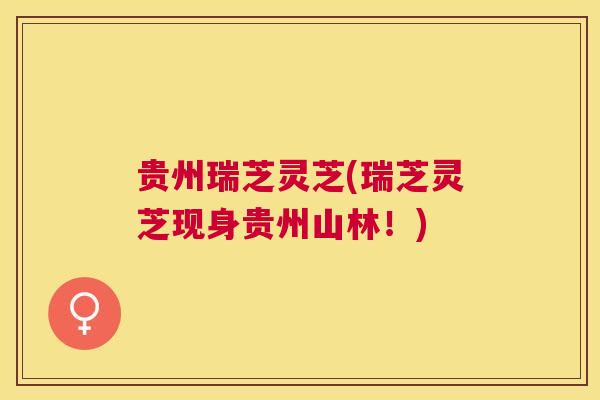 贵州瑞芝灵芝(瑞芝灵芝现身贵州山林!) 贵州瑞芝灵芝(瑞芝灵芝现身贵州山林!)