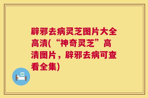辟邪去灵芝图片大全高清(“神奇灵芝”高清图片,辟邪去可查看全集) 辟邪去灵芝图片大全高清(“神奇灵芝”高清图片,辟邪去可查看全集)