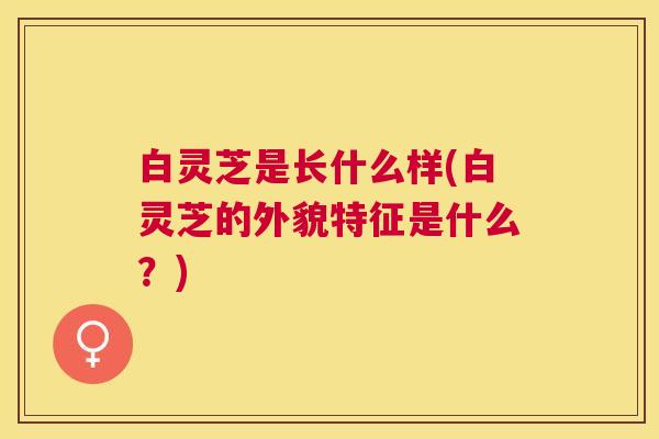 白灵芝是长什么样(白灵芝的外貌特征是什么?) 白灵芝是长什么样(白灵芝的外貌特征是什么?)