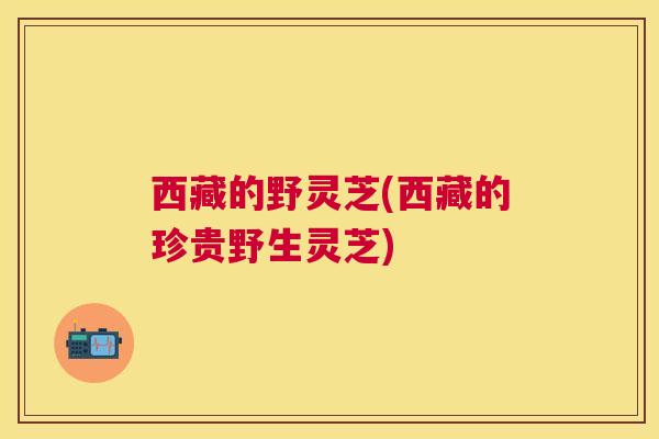 西藏的野灵芝(西藏的珍贵野生灵芝) 西藏的野灵芝(西藏的珍贵野生灵芝)