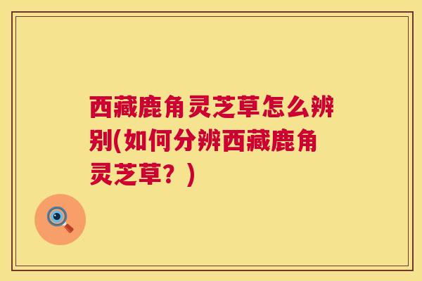 西藏鹿角灵芝草怎么辨别(如何分辨西藏鹿角灵芝草？)