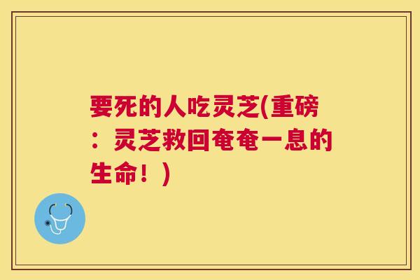 要死的人吃灵芝(重磅:灵芝救回奄奄一息的生命!) 要死的人吃灵芝(重磅:灵芝救回奄奄一息的生命!)