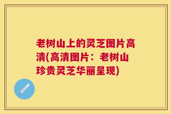 老树山上的灵芝图片高清(高清图片:老树山珍贵灵芝华丽呈现) 老树山上的灵芝图片高清(高清图片:老树山珍贵灵芝华丽呈现)