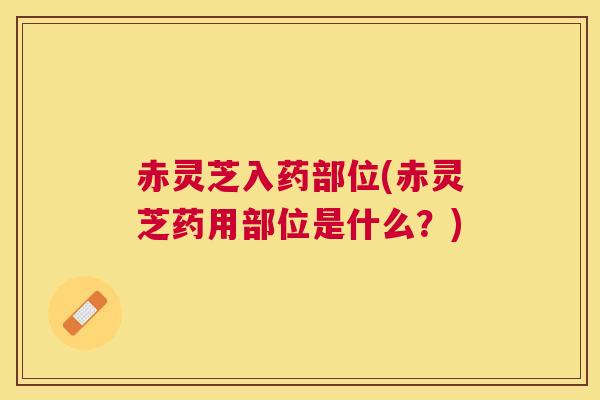 赤灵芝入药部位(赤灵芝药用部位是什么？)