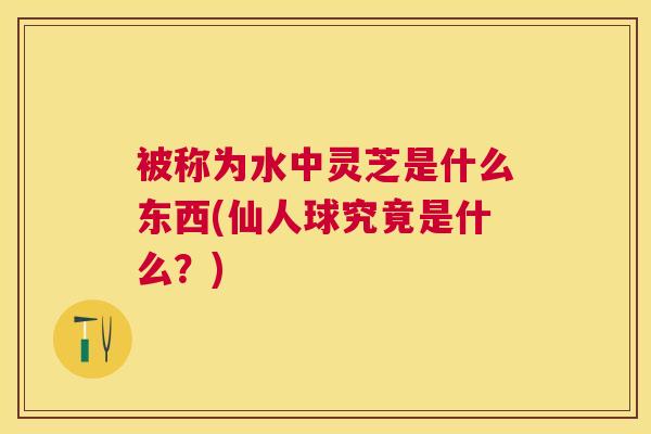 被称为水中灵芝是什么东西(仙人球究竟是什么?) 被称为水中灵芝是什么东西(仙人球究竟是什么?)