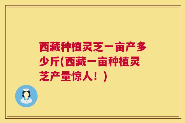 西藏种植灵芝一亩产多少斤(西藏一亩种植灵芝产量惊人!) 西藏种植灵芝一亩产多少斤(西藏一亩种植灵芝产量惊人!)