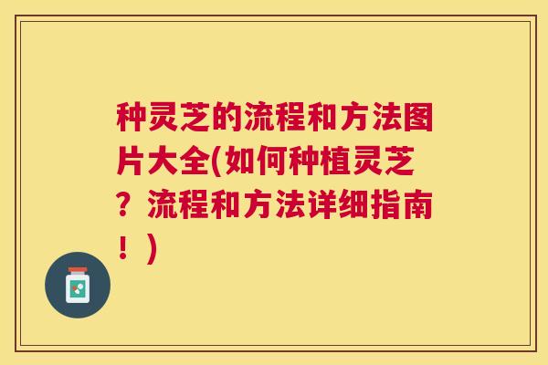 种灵芝的流程和方法图片大全(如何种植灵芝?流程和方法详细指南!) 种灵芝的流程和方法图片大全(如何种植灵芝?流程和方法详细指南!)