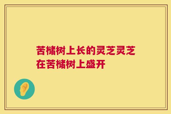 苦槠树上长的灵芝灵芝在苦槠树上盛开 苦槠树上长的灵芝灵芝在苦槠树上盛开
