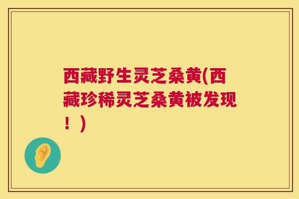 西藏野生灵芝桑黄(西藏珍稀灵芝桑黄被发现!) 西藏野生灵芝桑黄(西藏珍稀灵芝桑黄被发现!)