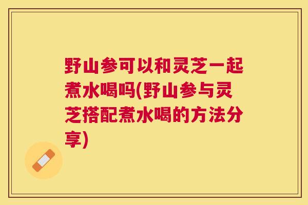 野山参可以和灵芝一起煮水喝吗(野山参与灵芝搭配煮水喝的方法分享)