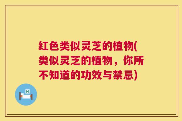 红色类似灵芝的植物(类似灵芝的植物，你所不知道的功效与禁忌)