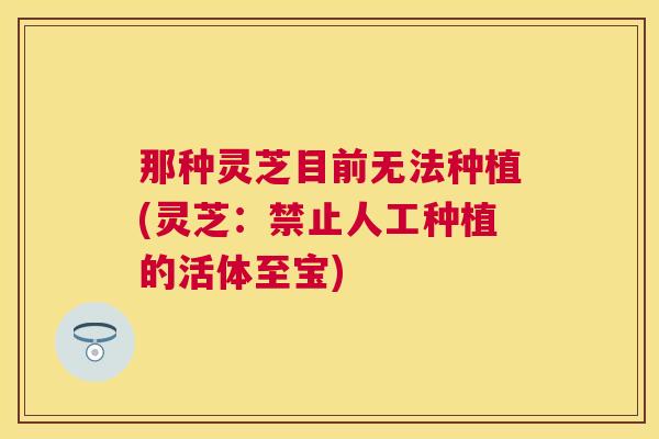 那种灵芝目前无法种植(灵芝:禁止人工种植的活体至宝) 那种灵芝目前无法种植(灵芝:禁止人工种植的活体至宝)
