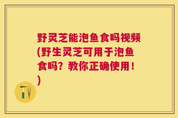 野灵芝能泡鱼食吗视频(野生灵芝可用于泡鱼食吗?教你正确使用!) 野灵芝能泡鱼食吗视频(野生灵芝可用于泡鱼食吗?教你正确使用!)