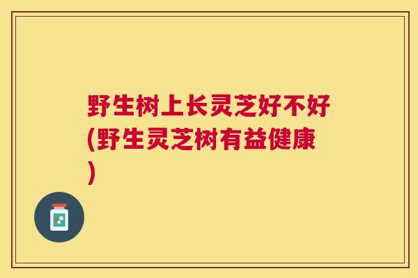 野生树上长灵芝好不好(野生灵芝树有益健康) 野生树上长灵芝好不好(野生灵芝树有益健康)