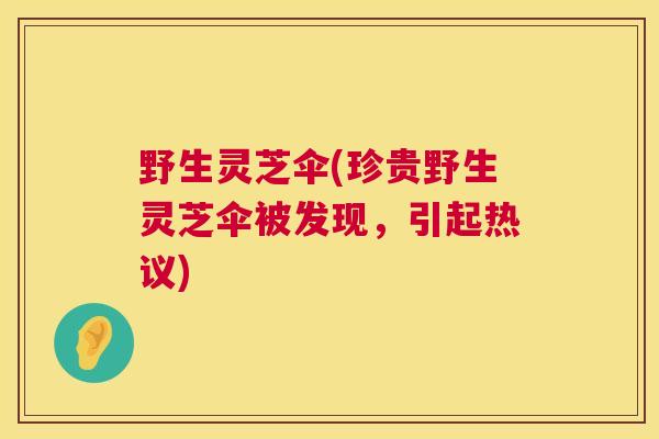野生灵芝伞(珍贵野生灵芝伞被发现，引起热议)