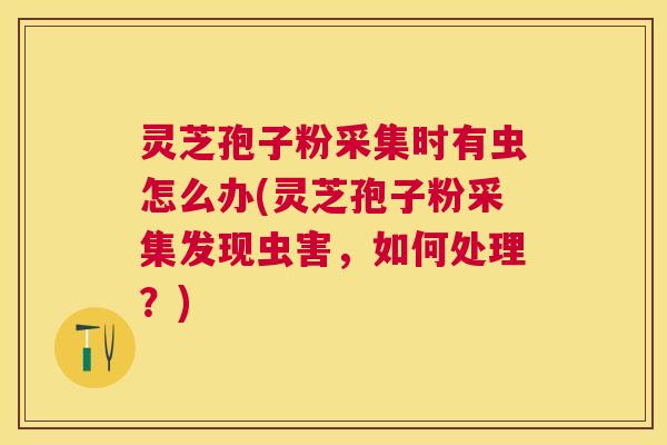 灵芝孢子粉采集时有虫怎么办(灵芝孢子粉采集发现虫害,如何处理?) 灵芝孢子粉采集时有虫怎么办(灵芝孢子粉采集发现虫害,如何处理?)