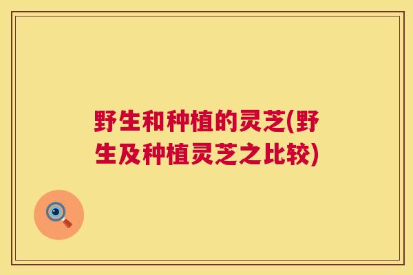 野生和种植的灵芝(野生及种植灵芝之比较)