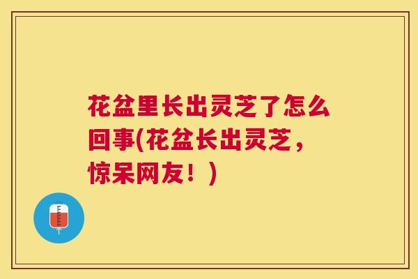 花盆里长出灵芝了怎么回事(花盆长出灵芝,惊呆网友!) 花盆里长出灵芝了怎么回事(花盆长出灵芝,惊呆网友!)