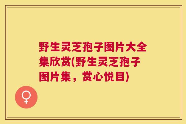 野生灵芝孢子图片大全集欣赏(野生灵芝孢子图片集，赏心悦目)