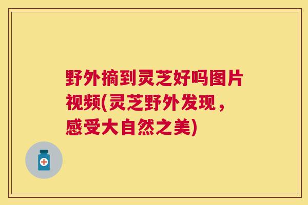 野外摘到灵芝好吗图片视频(灵芝野外发现,感受大自然之美) 野外摘到灵芝好吗图片视频(灵芝野外发现,感受大自然之美)