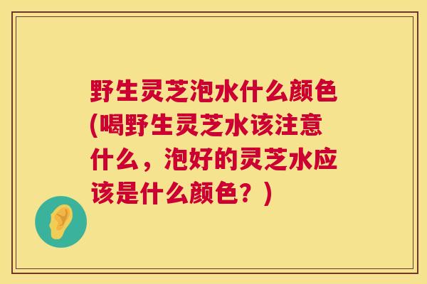 野生灵芝泡水什么颜色(喝野生灵芝水该注意什么，泡好的灵芝水应该是什么颜色？)