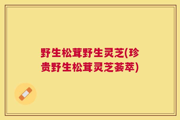 野生松茸野生灵芝(珍贵野生松茸灵芝荟萃)
