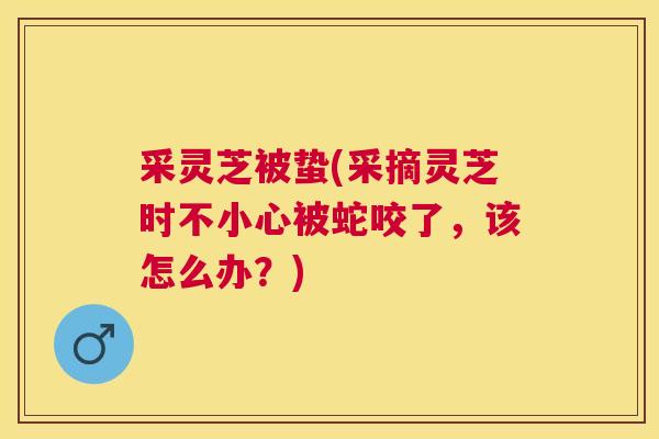 采灵芝被蛰(采摘灵芝时不小心被蛇咬了，该怎么办？)