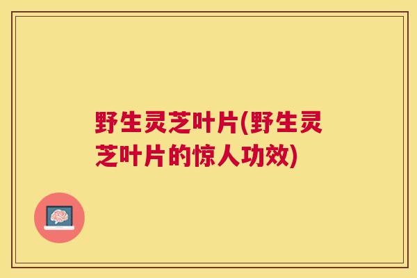 野生灵芝叶片(野生灵芝叶片的惊人功效)