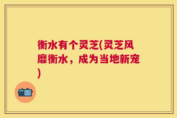 衡水有个灵芝(灵芝风靡衡水，成为当地新宠)
