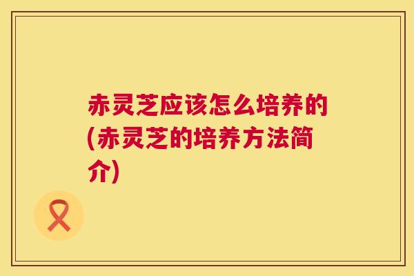 赤灵芝应该怎么培养的(赤灵芝的培养方法简介)