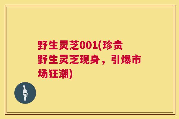野生灵芝001(珍贵野生灵芝现身,引爆市场狂潮) 野生灵芝001(珍贵野生灵芝现身,引爆市场狂潮)