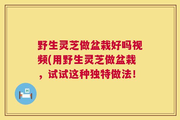 野生灵芝做盆栽好吗视频(用野生灵芝做盆栽，试试这种独特做法！