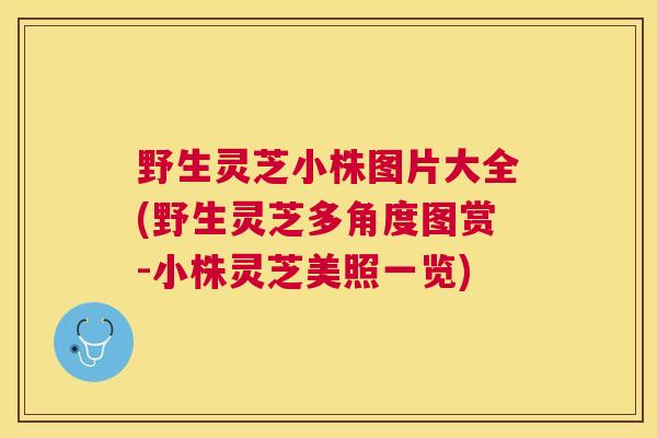 野生灵芝小株图片大全(野生灵芝多角度图赏-小株灵芝美照一览) 野生灵芝小株图片大全(野生灵芝多角度图赏-小株灵芝美照一览)