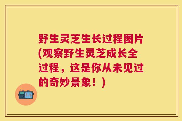 野生灵芝生长过程图片(观察野生灵芝成长全过程，这是你从未见过的奇妙景象！)