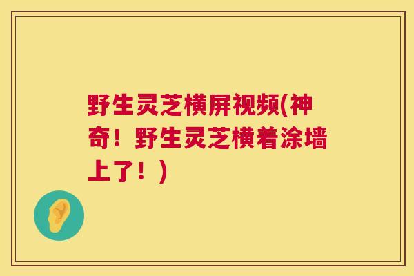 野生灵芝横屏视频(神奇!野生灵芝横着涂墙上了!) 野生灵芝横屏视频(神奇!野生灵芝横着涂墙上了!)