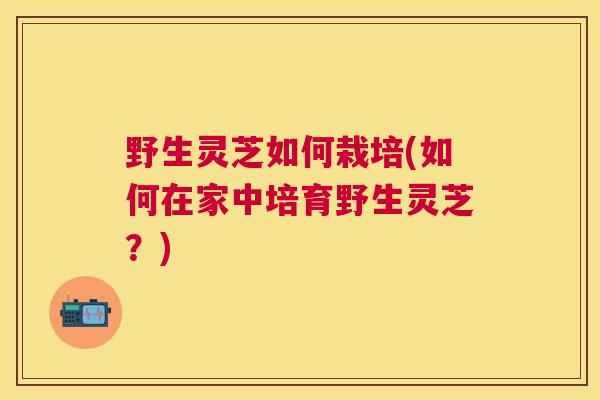 野生灵芝如何栽培(如何在家中培育野生灵芝?) 野生灵芝如何栽培(如何在家中培育野生灵芝?)