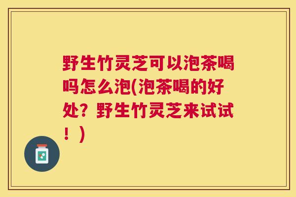 野生竹灵芝可以泡茶喝吗怎么泡(泡茶喝的好处？野生竹灵芝来试试！)