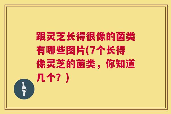 跟灵芝长得很像的菌类有哪些图片(7个长得像灵芝的菌类，你知道几个？)