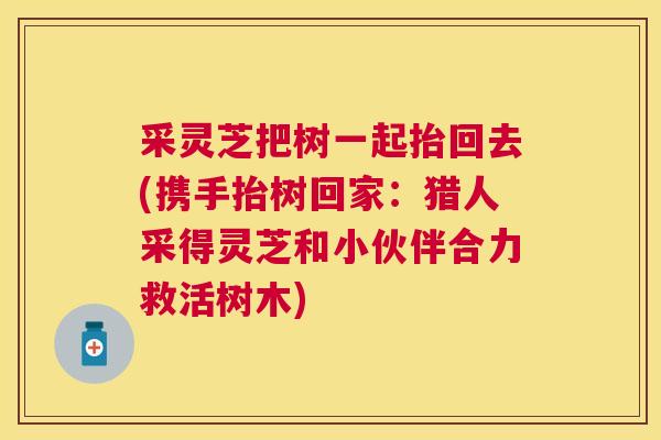 采灵芝把树一起抬回去(携手抬树回家:猎人采得灵芝和小伙伴合力救活树木) 采灵芝把树一起抬回去(携手抬树回家:猎人采得灵芝和小伙伴合力救活树木)