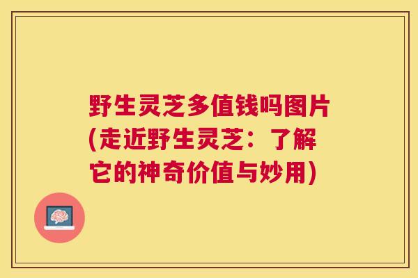 野生灵芝多值钱吗图片(走近野生灵芝:了解它的神奇价值与妙用) 野生灵芝多值钱吗图片(走近野生灵芝:了解它的神奇价值与妙用)