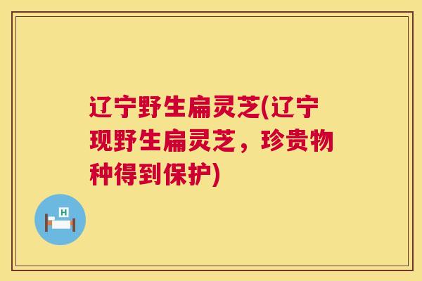 辽宁野生扁灵芝(辽宁现野生扁灵芝,珍贵物种得到保护) 辽宁野生扁灵芝(辽宁现野生扁灵芝,珍贵物种得到保护)