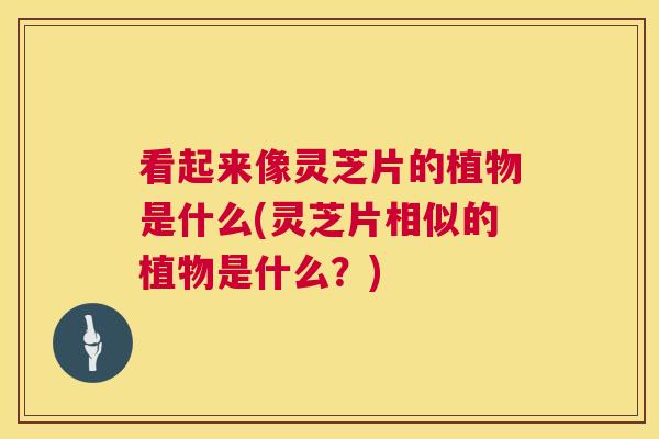 看起来像灵芝片的植物是什么(灵芝片相似的植物是什么?) 看起来像灵芝片的植物是什么(灵芝片相似的植物是什么?)