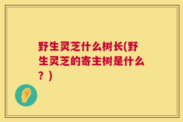 野生灵芝什么树长(野生灵芝的寄主树是什么?) 野生灵芝什么树长(野生灵芝的寄主树是什么?)