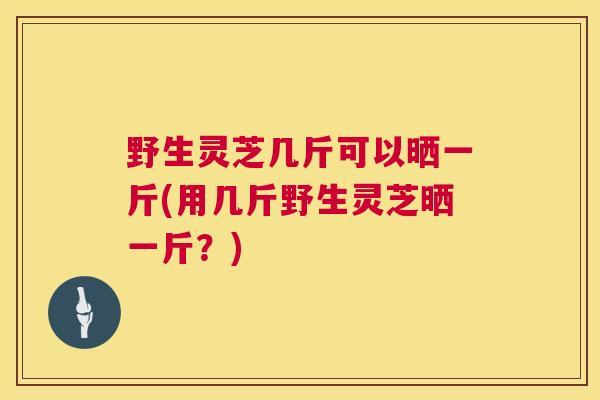 野生灵芝几斤可以晒一斤(用几斤野生灵芝晒一斤?) 野生灵芝几斤可以晒一斤(用几斤野生灵芝晒一斤?)