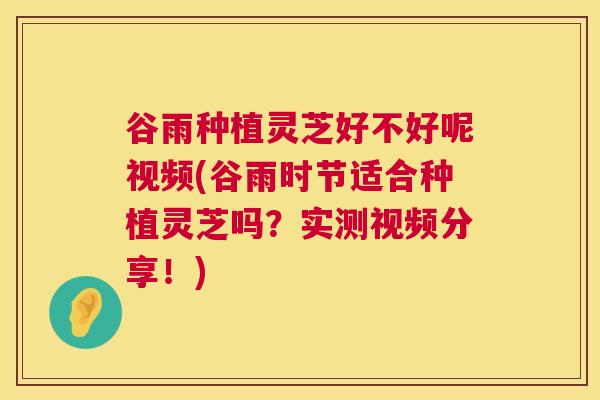 谷雨种植灵芝好不好呢视频(谷雨时节适合种植灵芝吗?实测视频分享!) 谷雨种植灵芝好不好呢视频(谷雨时节适合种植灵芝吗?实测视频分享!)