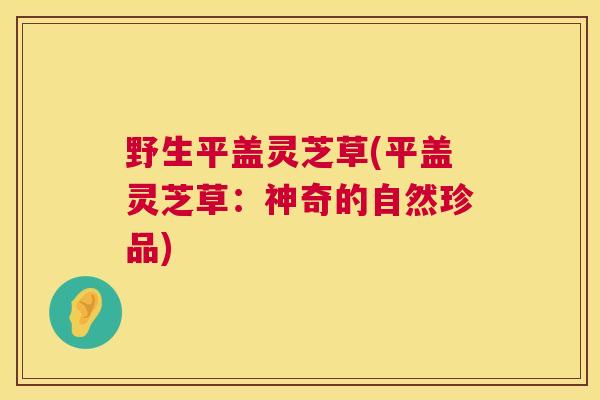 野生平盖灵芝草(平盖灵芝草：神奇的自然珍品)