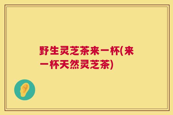 野生灵芝茶来一杯(来一杯天然灵芝茶)