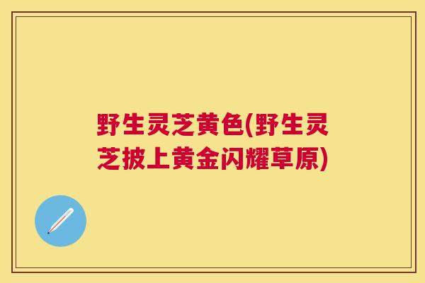 野生灵芝黄色(野生灵芝披上黄金闪耀草原) 野生灵芝黄色(野生灵芝披上黄金闪耀草原)