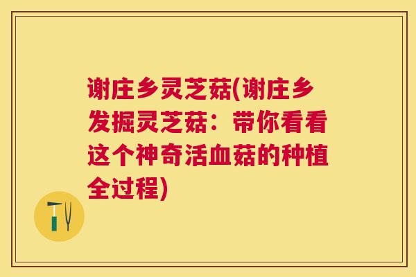 谢庄乡灵芝菇(谢庄乡发掘灵芝菇:带你看看这个神奇活菇的种植全过程) 谢庄乡灵芝菇(谢庄乡发掘灵芝菇:带你看看这个神奇活菇的种植全过程)