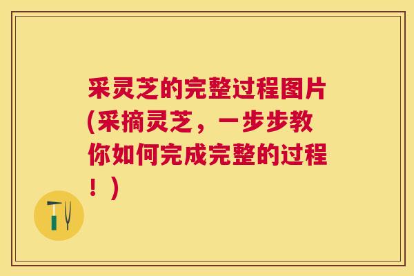 采灵芝的完整过程图片(采摘灵芝,一步步教你如何完成完整的过程!) 采灵芝的完整过程图片(采摘灵芝,一步步教你如何完成完整的过程!)